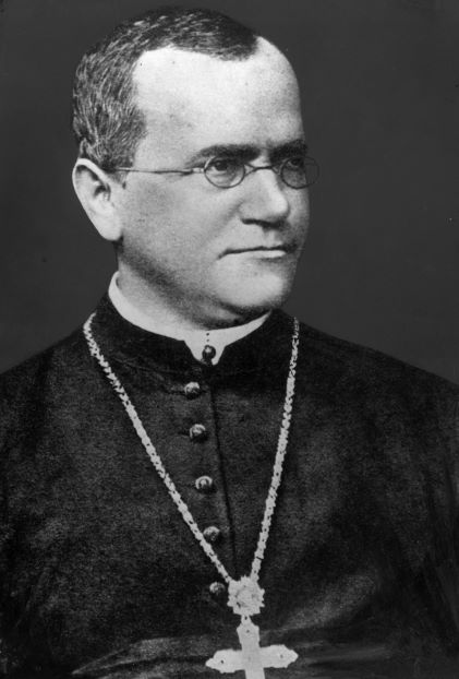 Gregor Mendel