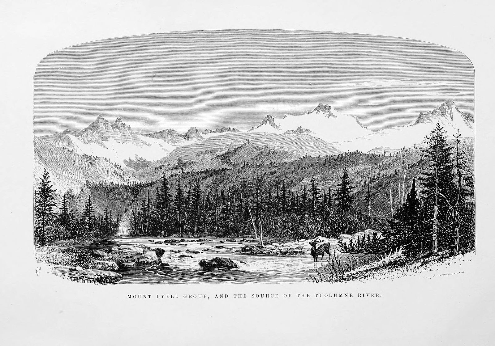 lyell1830_fig7.jpg
