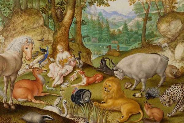 Visioni evolutive della natura e dell'uomo